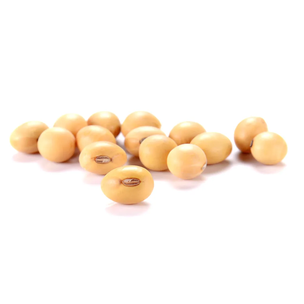 
Wholesale organic soybeans, cheap prices 