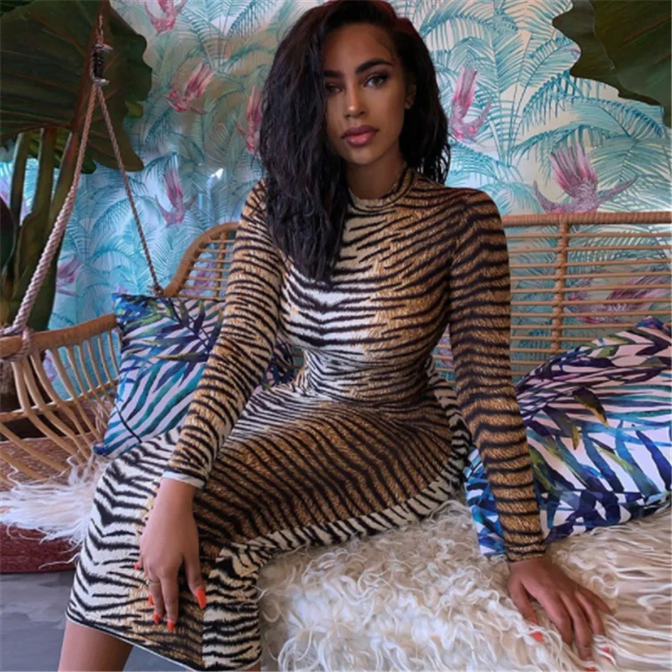 2019 High quality autumn winter women plus size hooded printed casual long dress
