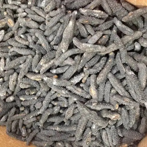 
High Quality Dried Sea Cucumber for Sale  (62015830837)