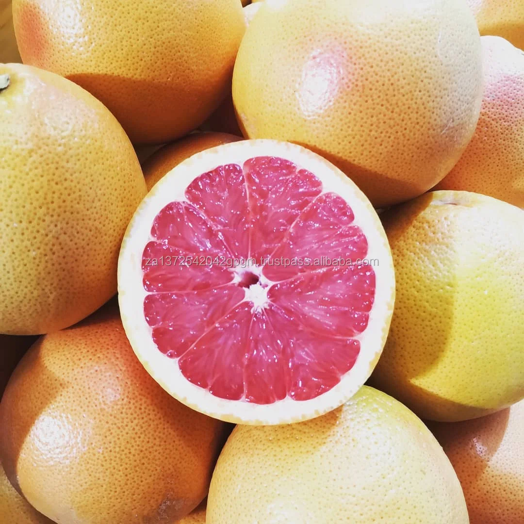 Fresh Grapefruit Buy Grapefruit,Grapefruit,Grapefruit Product on