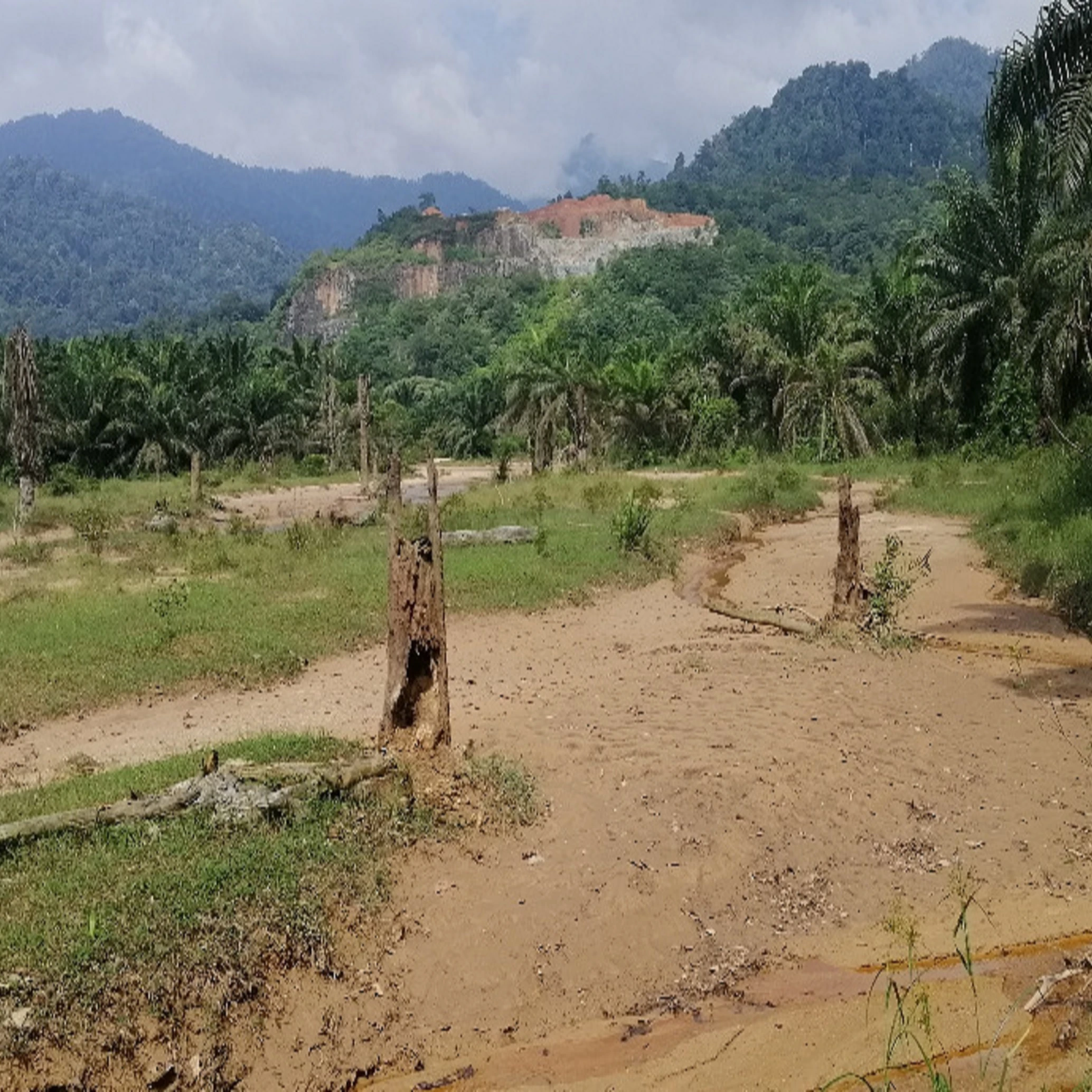 
Fine and High Quality Malaysian Washed River Sand 