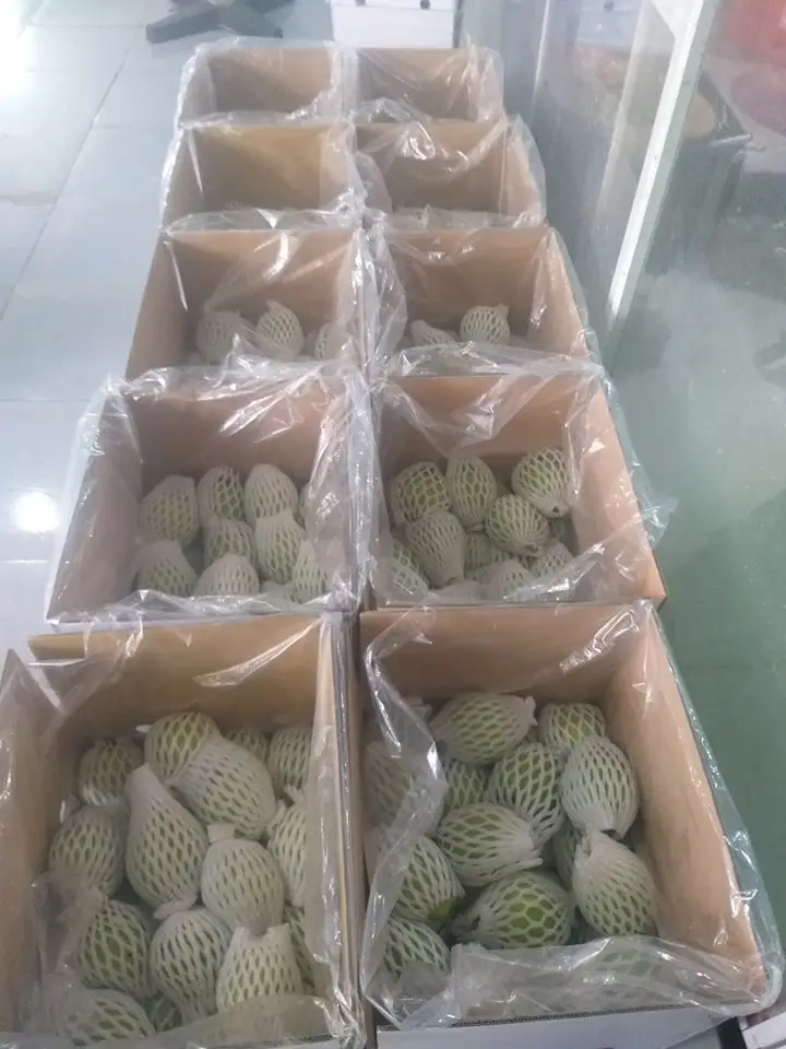 fresh guava in carton