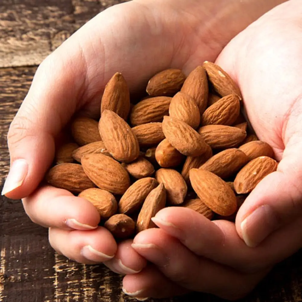 almonds - almond nuts - raw bitter and sweet kernels