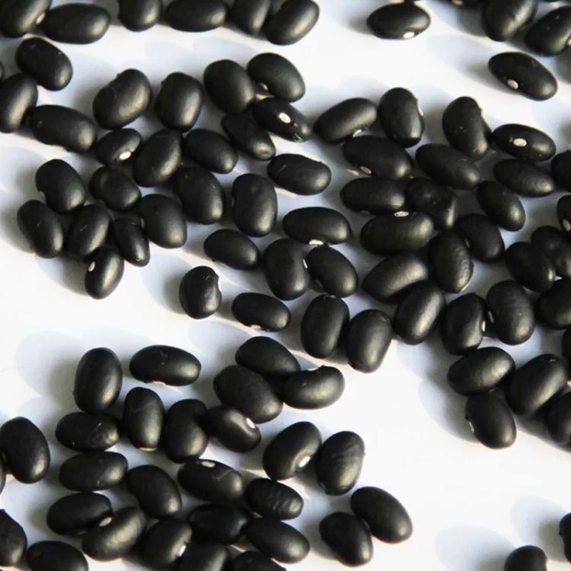 Top Qualität Großhandel beste verkauf Organische getrocknete schwarze bohnen