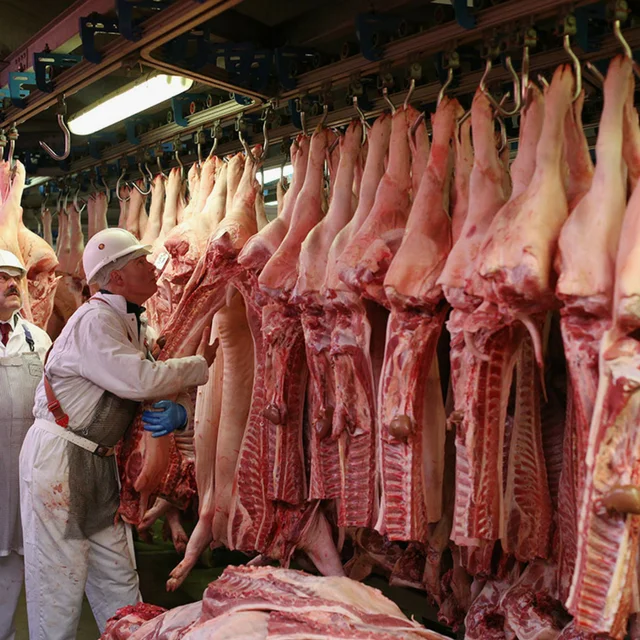 Quality Cheap Frozen Pork Meat / Pork Hind Leg / Pork Feet Now For Export.