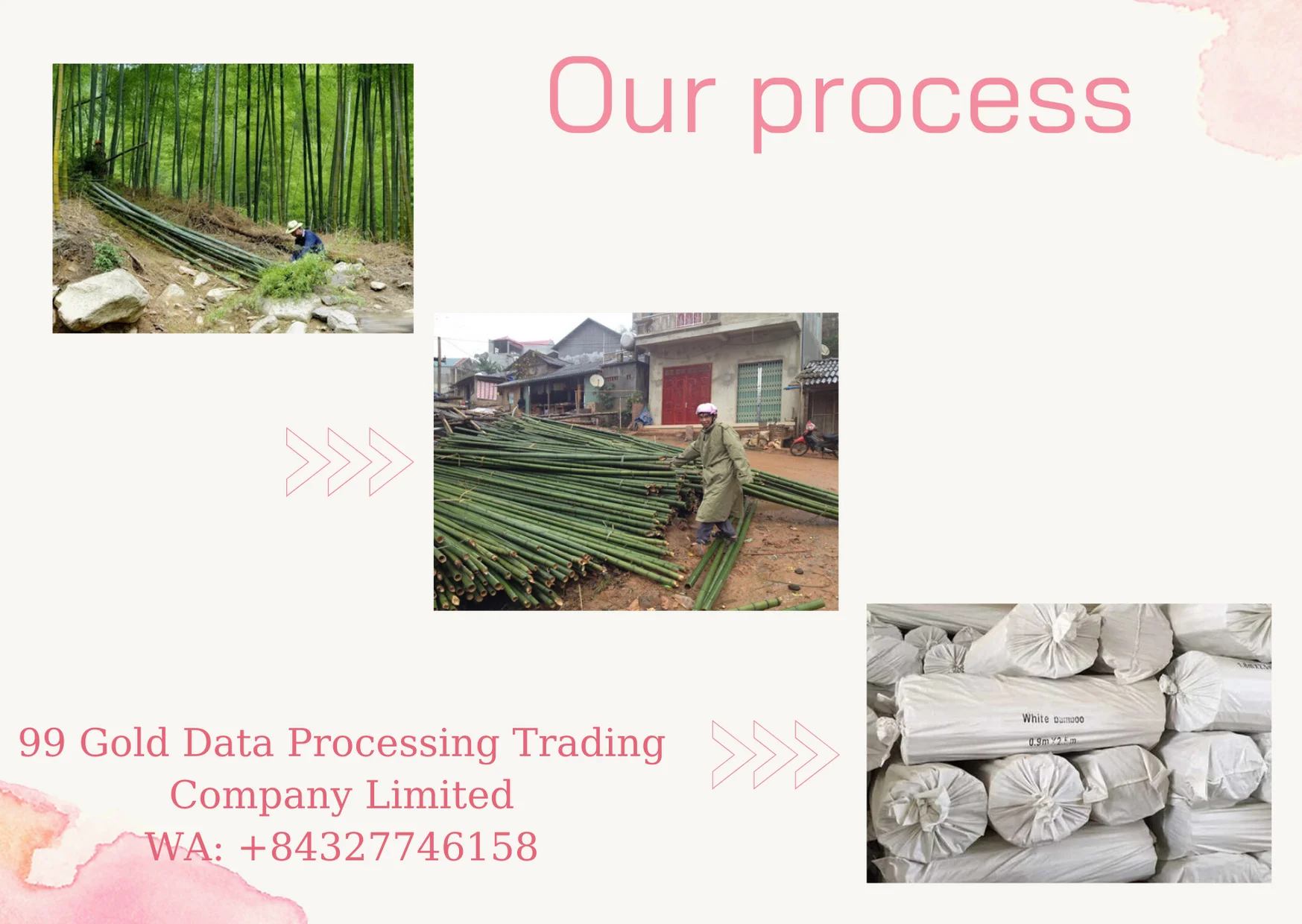 Agriculture Bamboo Sticks Bambou Poles For Nursery Planting/custom