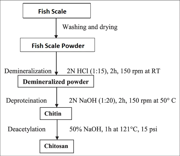 Export Fish Scale From Vietnam/ossein To Extract Gelatin & Collagen/ Ms