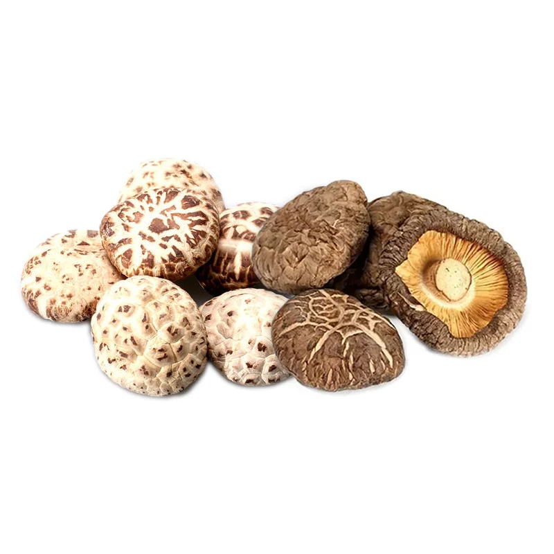 
Natural magic mushrooms dried with good quality 