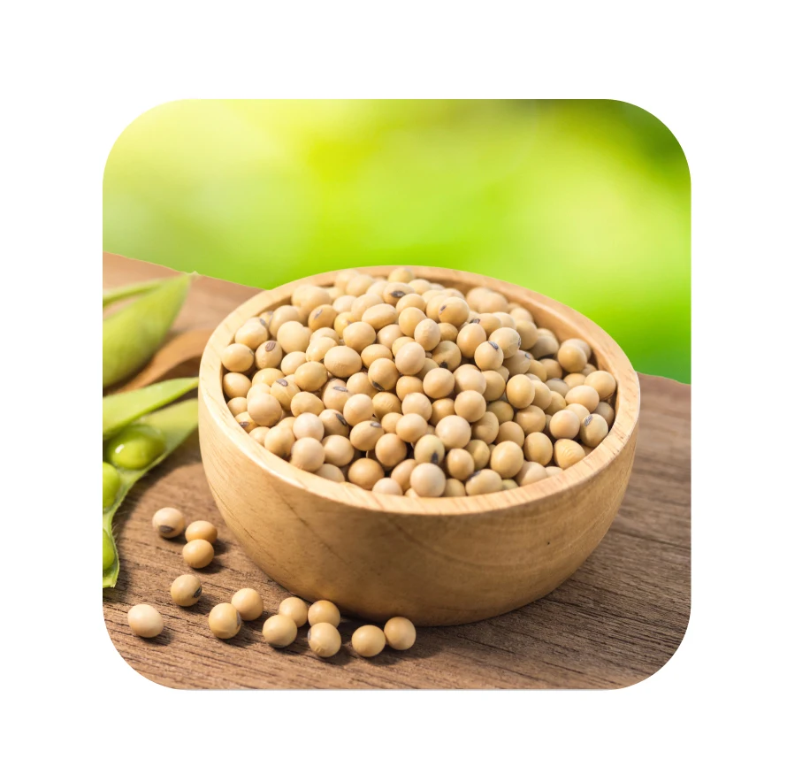 Cheap Soyabeans For Sale Buy Soybeans Non Gmo,Nongmo Soybeans,Cheap