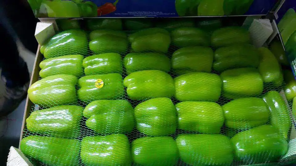 
Preserved Fresh Capsicum 