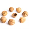 High quality Best Price Organic walnut