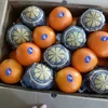 Fresh Citrus Fruits, Valencia Oranges & Lemons high quality