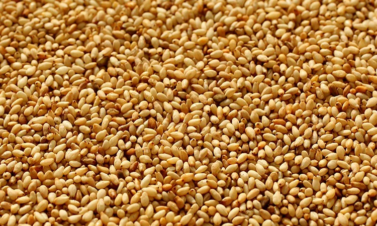 
Dried Golden Sesame Seeds 100 % Nature 2020 