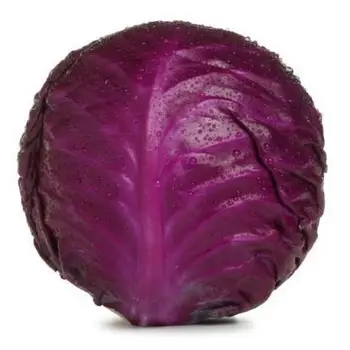 chinese fresh cabbage round/flat/purple wholesale price