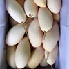 Thailand Fruit Fresh Nam Dok Mai Gold Honey Mango from Thailand