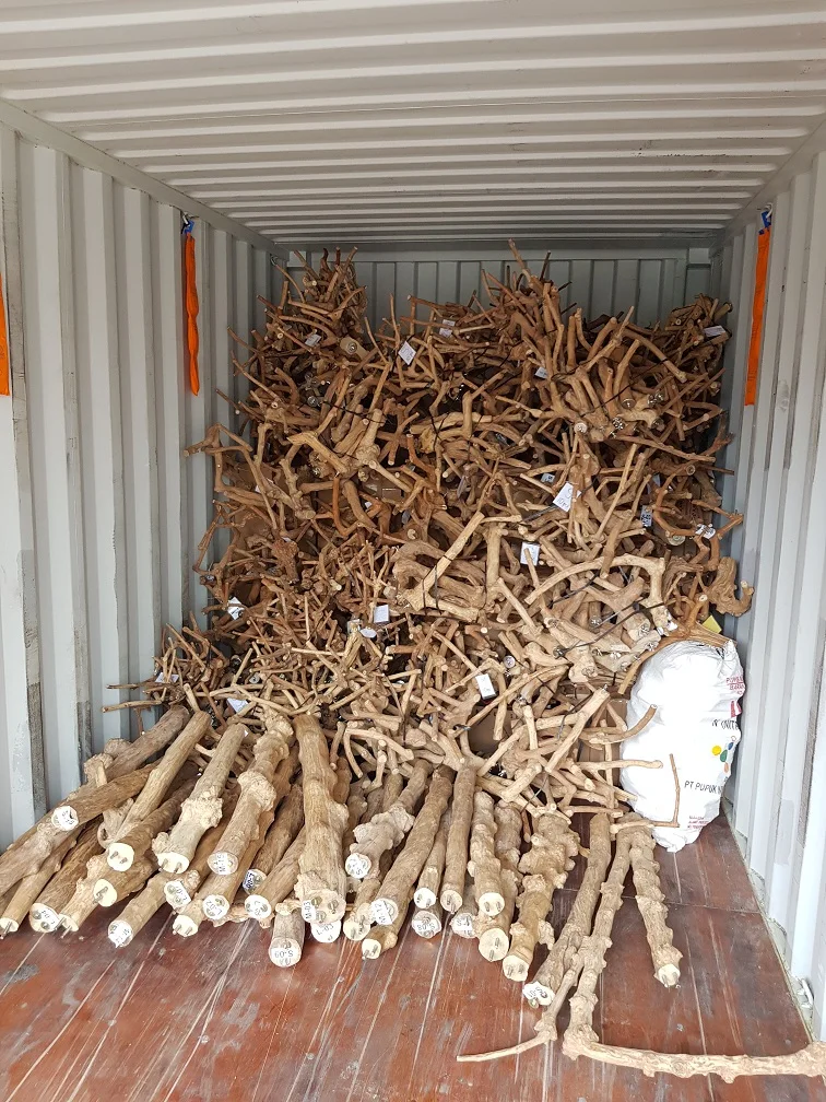 Java Wood Parrot Bird Perch Tree Stand Buy Java Wood Java Wood Parrot