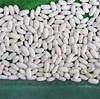 Alubia Beans - (Poroto Alubia - Feijao Alubia) - Bulk