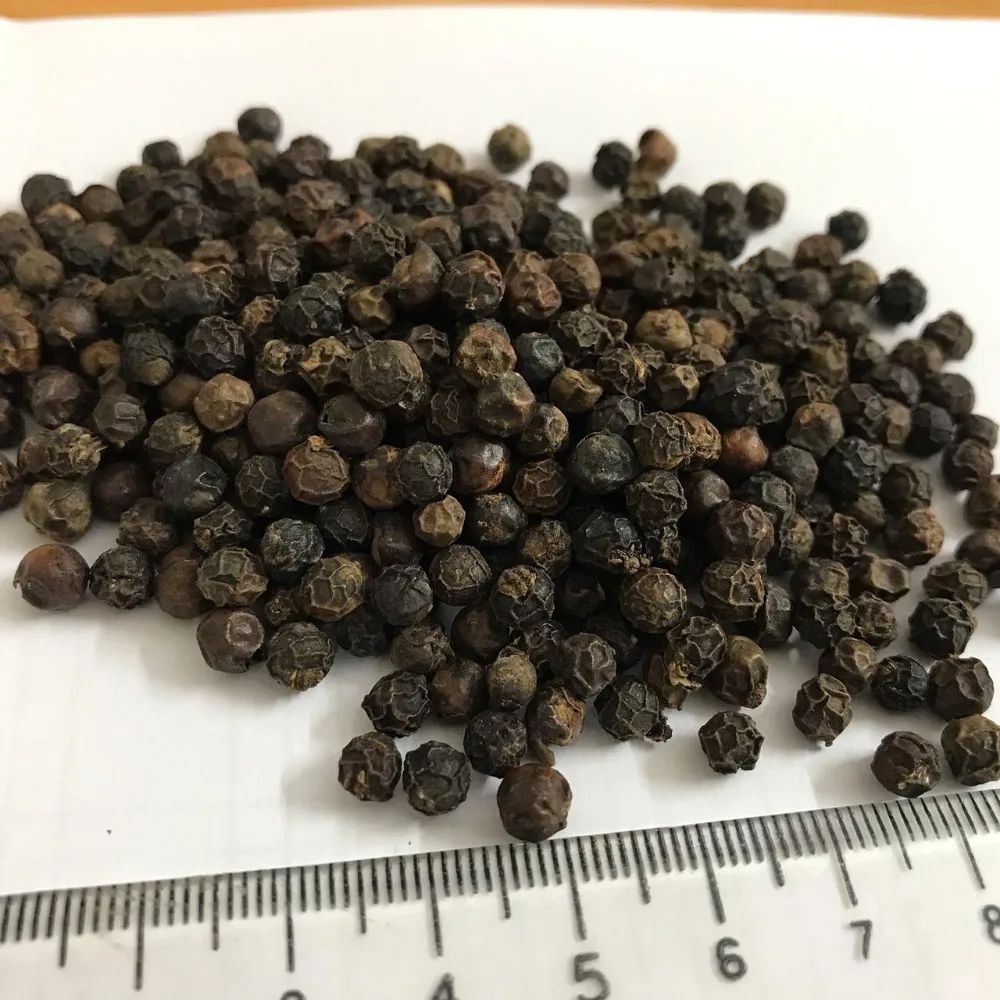 Vietnam Cleaned Black Pepper 550gl/570gl/5mm Bold Best Price Buy