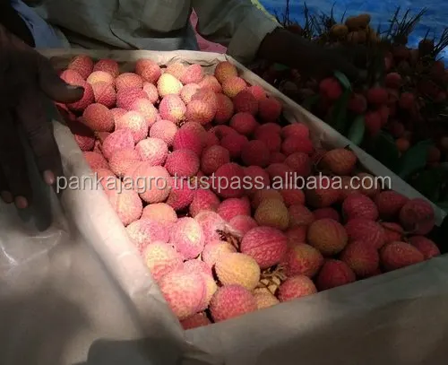 product-jpeg-500x500 (2).jpg