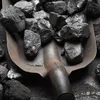 /product-detail/indonesian-steam-coal-for-sale-62014400307.html