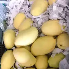 fresh mango yellow skin.jpg