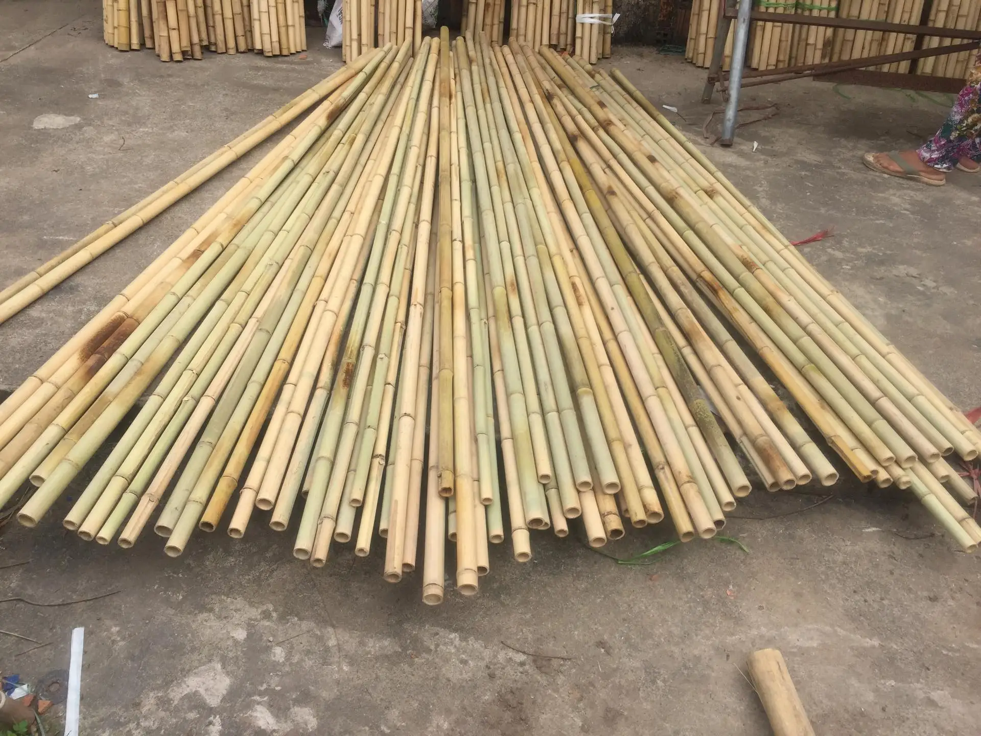 Agriculture Bamboo Sticks Bambou Poles For Nursery Planting/custom
