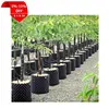 Reliable Quality Assurance Wide Selection Nursery Tree Pot