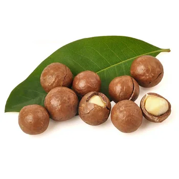 macadamia nut 44.jpg