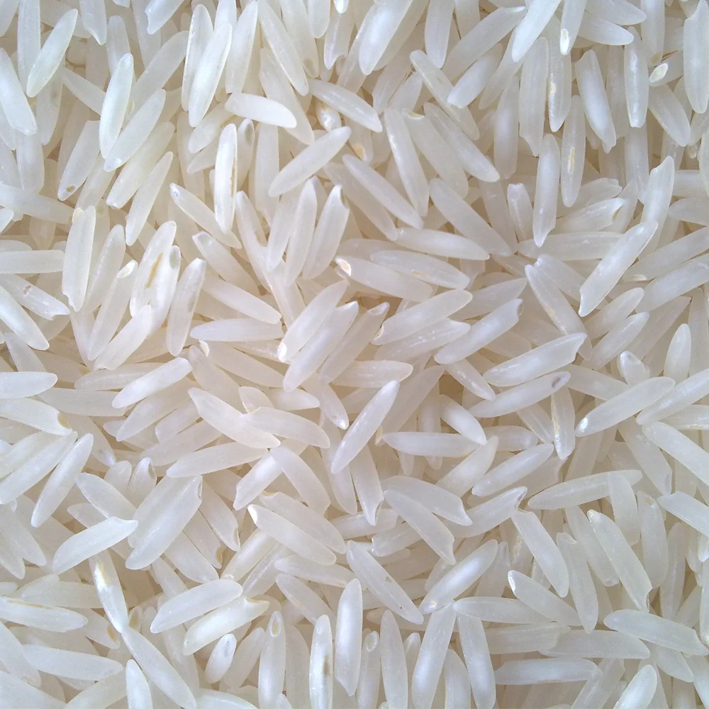ricc.png