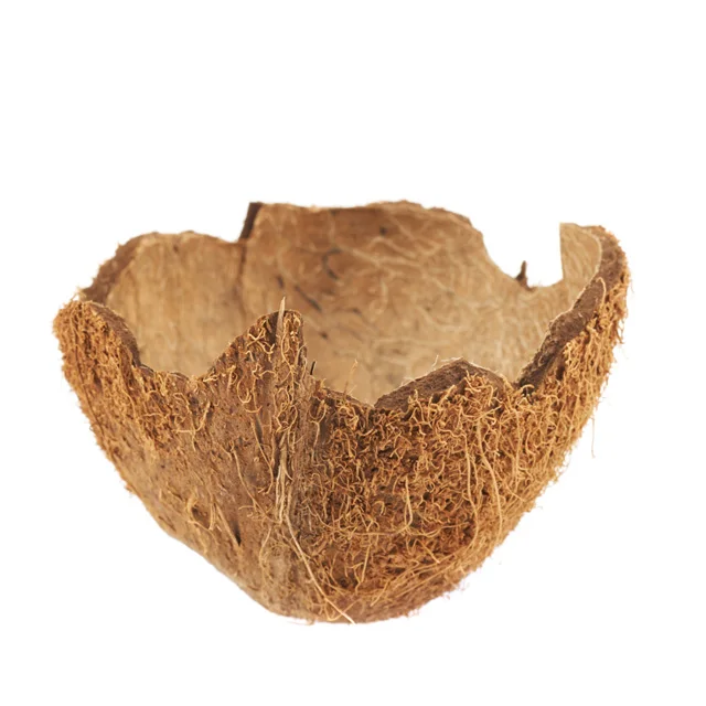
Agriculture Waste Raw Coconut Shell with High Quality 