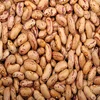 Quality Dried Pinto Beans, White Kidney Beans,