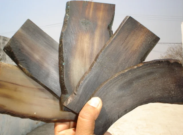 samples (shastri) 002.jpg