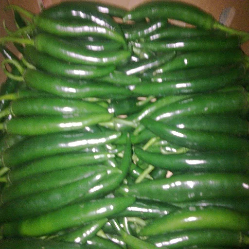 
fresh Red and green chili from Egypt 