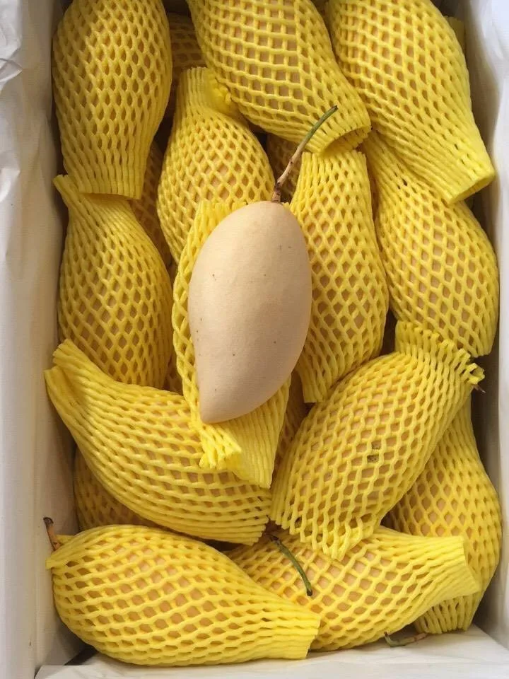 imported sweet mango honey mango