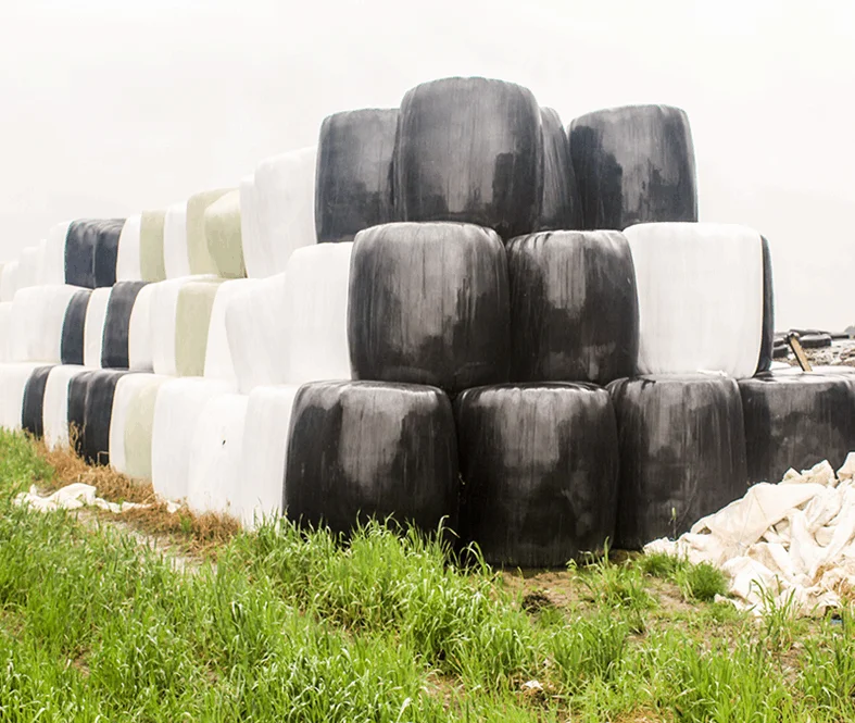 Corn Silage Main 55-OPD.png