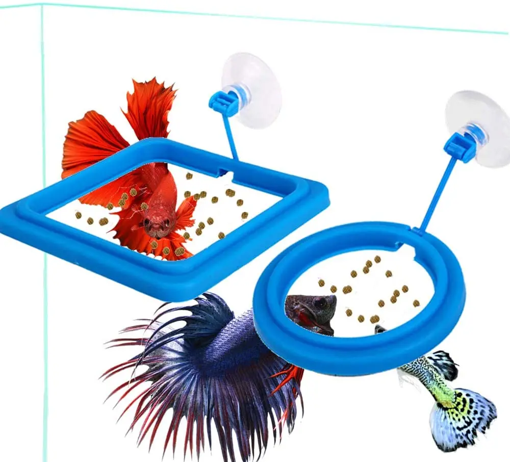 

Fish Feeding Ring, Fish Safe Floating Food Feeder Circle Blue, Round Shape for Guppy, Betta, Goldfish