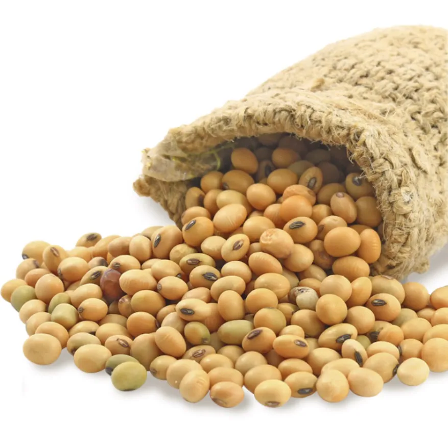 
Wholesale organic soybeans, cheap prices 