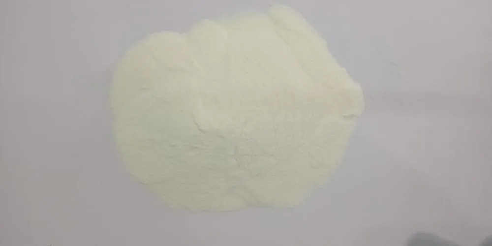 WhatsApp Image 2019-06-05 at 5.55.53 PM