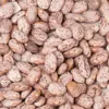Light Speckled Kidney Beans / Pinto Beans / Sugar Beans New crop for sale in central europe
