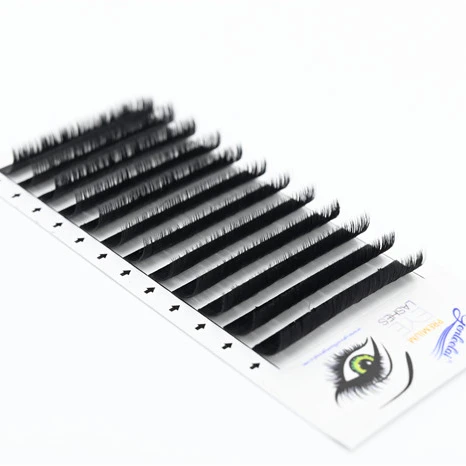 

Handmade Korean PBT Easy Fan Volume Eyelash Extensions 8-17mm J B C D Curl Private Label Wholesale Eyelash Vendor