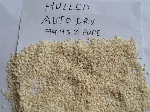 hulled-sesame-seeds-99_95.jpg