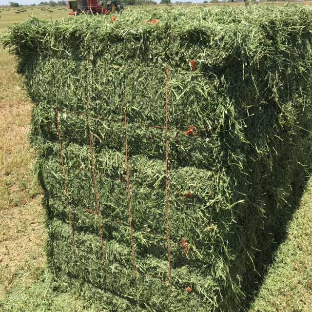 
Organic Alfalfa Hay/Alfalfa Grass Hay/Alfalfa Hay Pellets For Animal Feed for sale 
