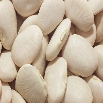 
High Quality Dried Lima Beans 