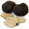 /product-detail/hot-sale-delicious-wild-black-truffle-mushroom-high-quality-truffle-truffle-62011746134.html