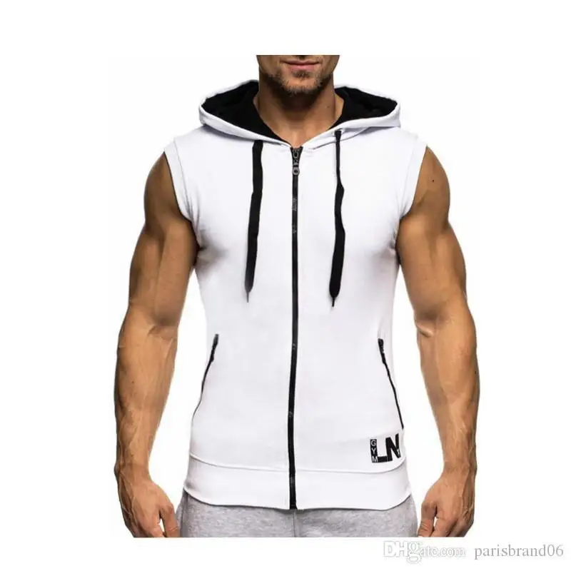 avim_2341517644_00 (1).jpg