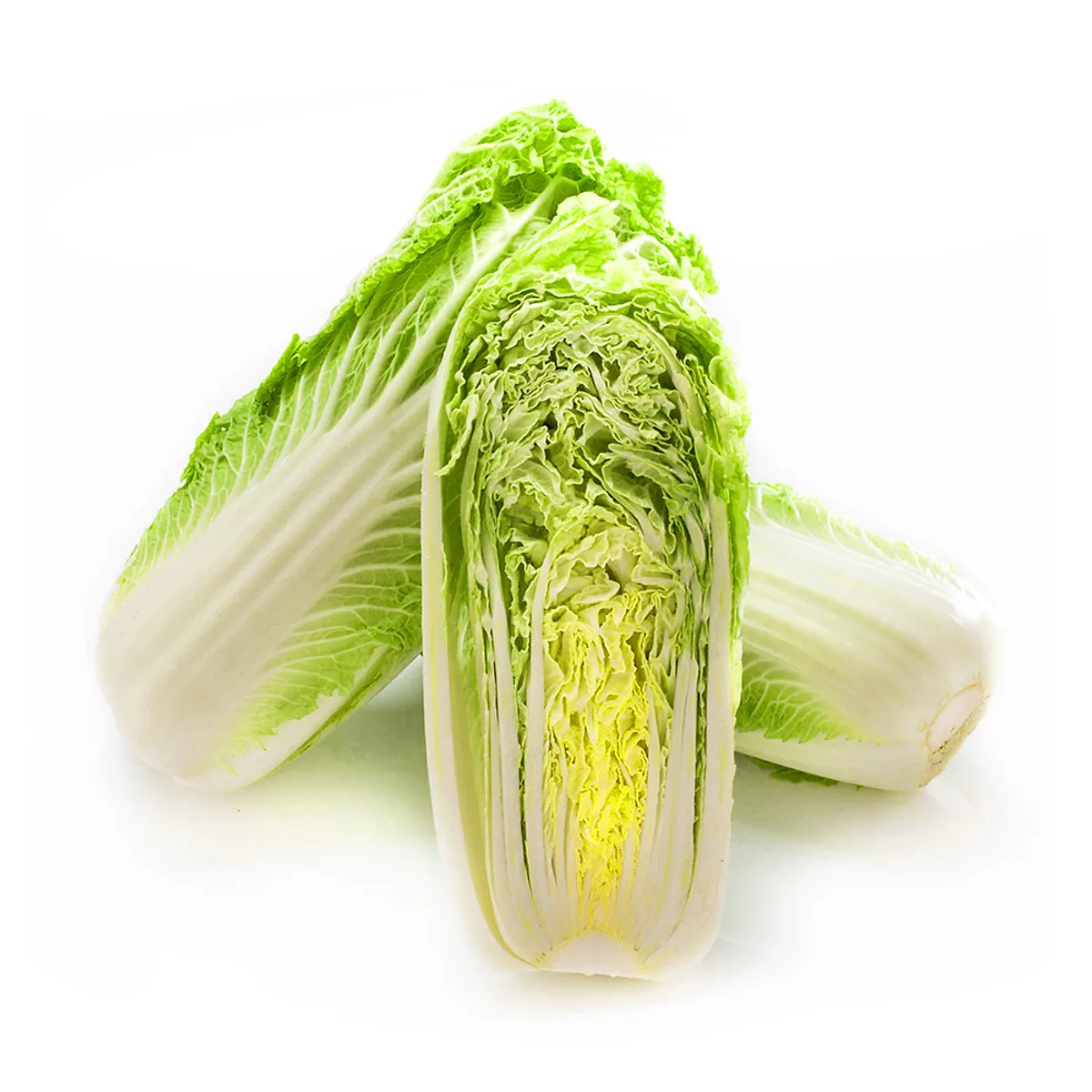 
New Crop High Quality Big Size 25cm Length Fresh Celeri Organic Chinese Cabbage From Vietnam 