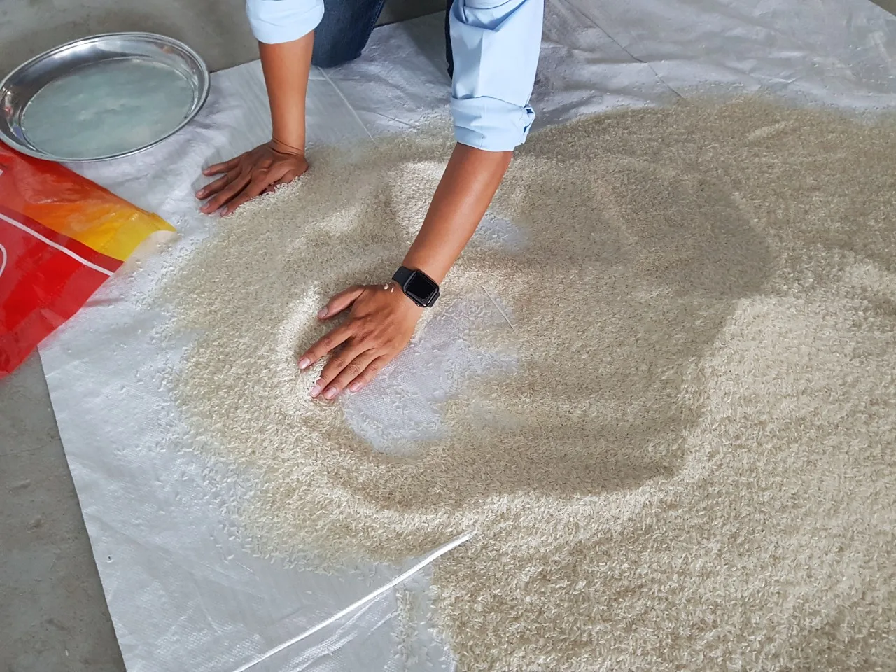 
HOT SALE PREMIUM QUALITY JASMINE RICE CHEAP PRICE +84765149122 