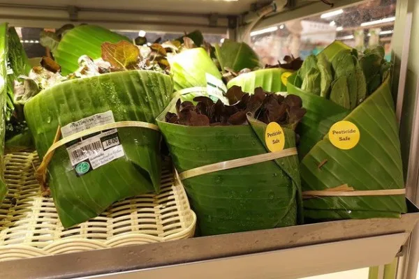 banana leaff.jpg