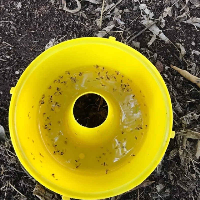 fly trap bucket