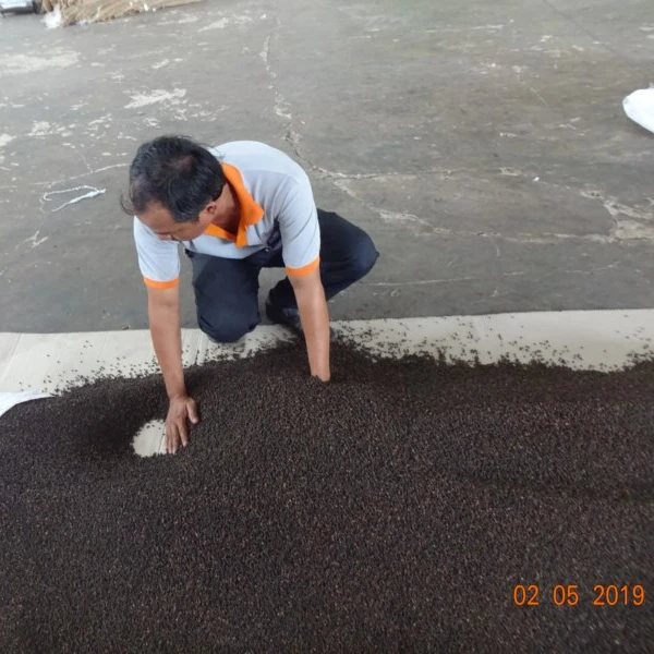 
EXPORT QUALITY VIETNAM BLACK PEPPER CLEAN 600 